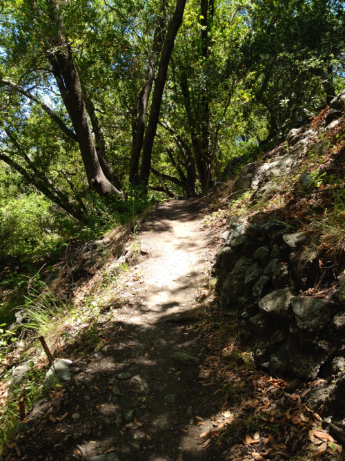 Some neat paths and bridges on the way to the Architecture Graveyard