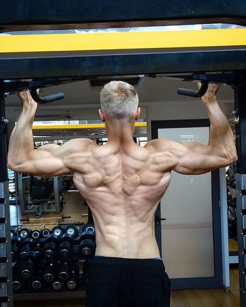 musclecomposition:Bodybuilder, Karlo Zure