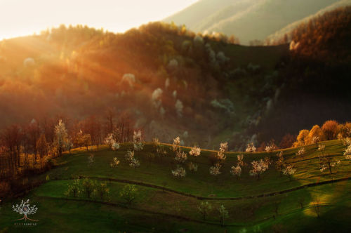 archatlas:  Landscapes of Transylvania   In the words of the artist Alex Robciuc:   I captured these photos during my journeys through the Maramures (a small county in Transylvania, Romania). The landscapes I photographed in this region are serene and