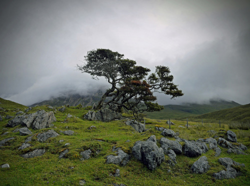 just-wanna-travel:  Isle of Skye, Scotland, UK 