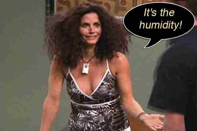 gwynfdd:  unbridledawakenings:  My hair every day for the last 2 weeks.  Must be
