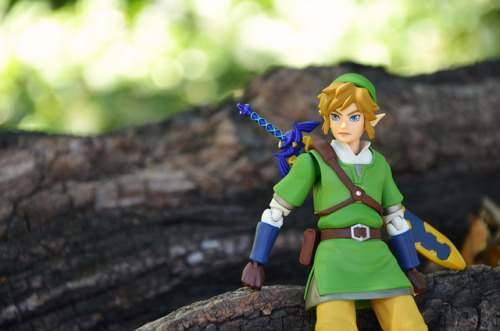 I took Link out for a photoshoot last weekend at Ardenwood Historical Farm. I&rsquo;m starting to en