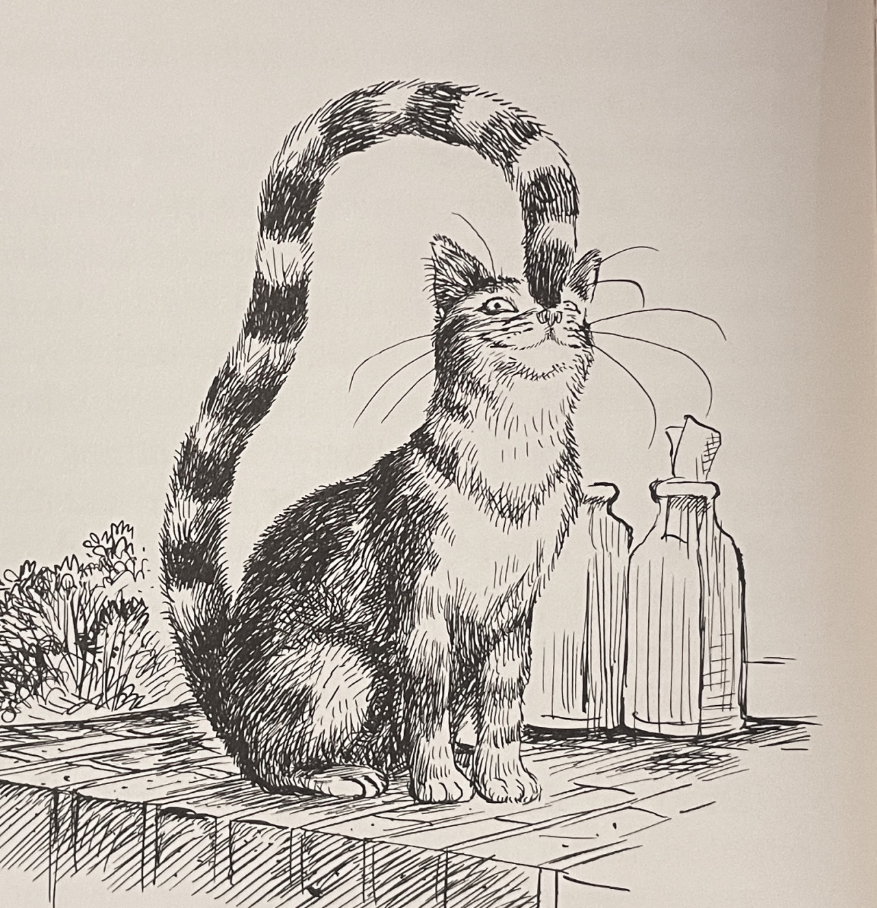 Black pen illustration of a shorthaired tabby cat sitting outside on a brick door stoop next to some glass milk bottles. The cat's tail is very long and reaches all the way up and over its back to boop its own nose.