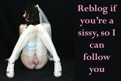 pr0nglutton:  sissy-stable:  Are you a Sissy ? Please re-blog so all Sissies can