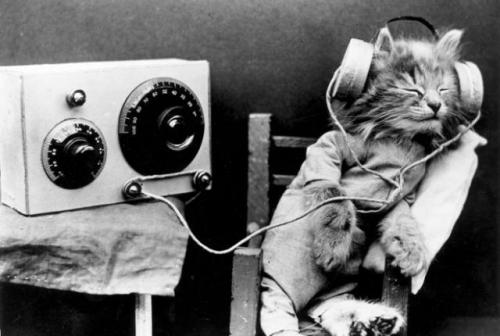 weirdvintage:A cat listens to the radio, 1926 (via)