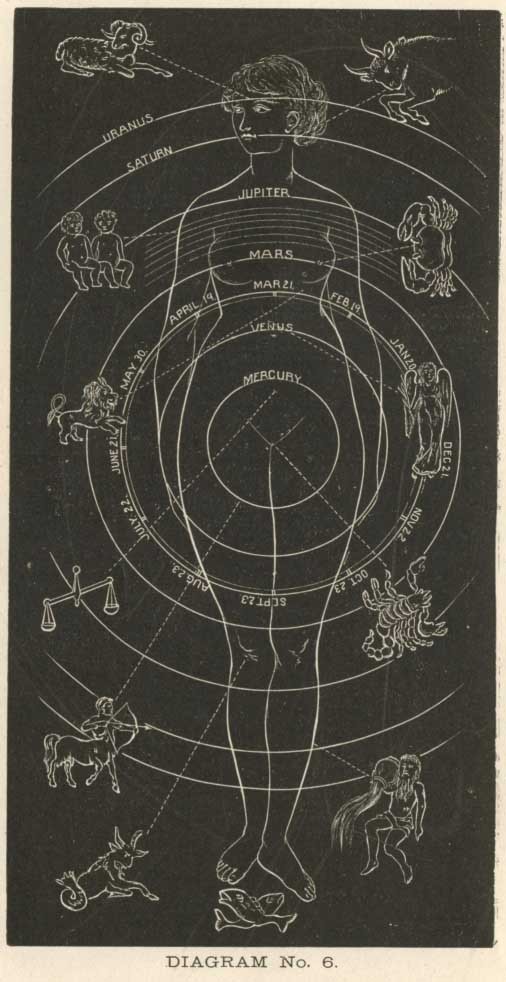 buddhabrot:  mariposima:  ghoulnextdoor: “The Solar Woman”, Solar Biology, by
