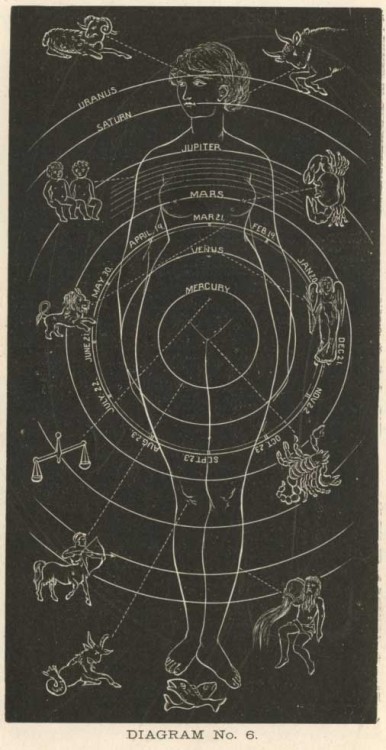buddhabrot:  mariposima:  ghoulnextdoor: “The Solar Woman”, Solar Biology, by Hiram E. Butler, [1887]   im the thigh  