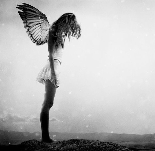 fluffybitz:  wolfstravelsinmind:  I know you can fly high, now, I’ll help you understand that, too.  ❤️❤️❤️  ♥ 