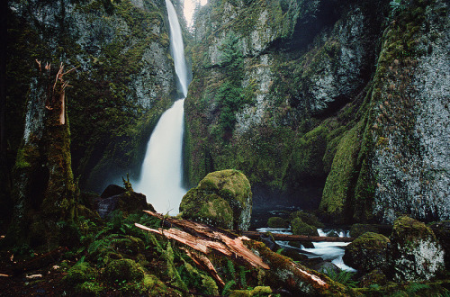 nordic-nature: wonder at wahclella by Danielle Hughson on Flickr.