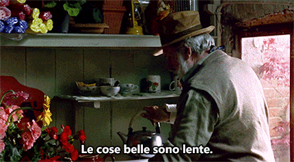 attimi-mancati:haidaspicciare:Felice Andreasi, “Pane e tulipani” (Silvio Soldini, 1999).