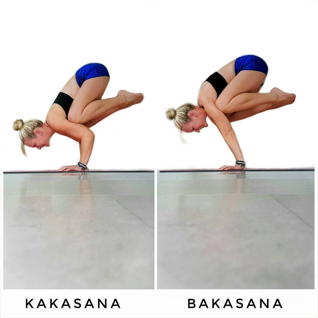 Crane Pose (Bakasana): How to Do, Benefits and Precautions - Fitsri Yoga