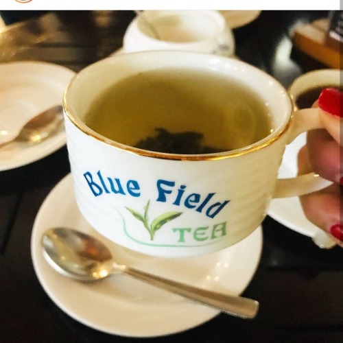 Have you ever tasted Original Ceylon Tea? ️☕ https://www.srilankatravelandtourism.com/places.php Fol