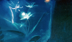 scurviesdisneyblog:Fantasia concept art