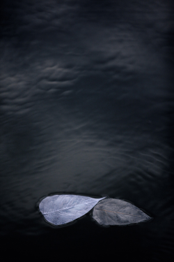  Miya Ando - Obon Miya Traveled To Puerto Rico Where She Floated 1000 Resin And