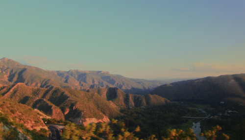 brandsilva:Reserva de la Biósfera de la Barranca de Metztitlán, México. brand silva