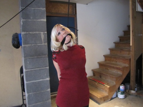 zippo077:  A victim of a particularly sadistic gang of home invaders, Beverly was led down to her basement, bound hand and foot, gagged, and left in this predicament. Forced to stand on her toes to avoid having the noose tighten, she wondered how much