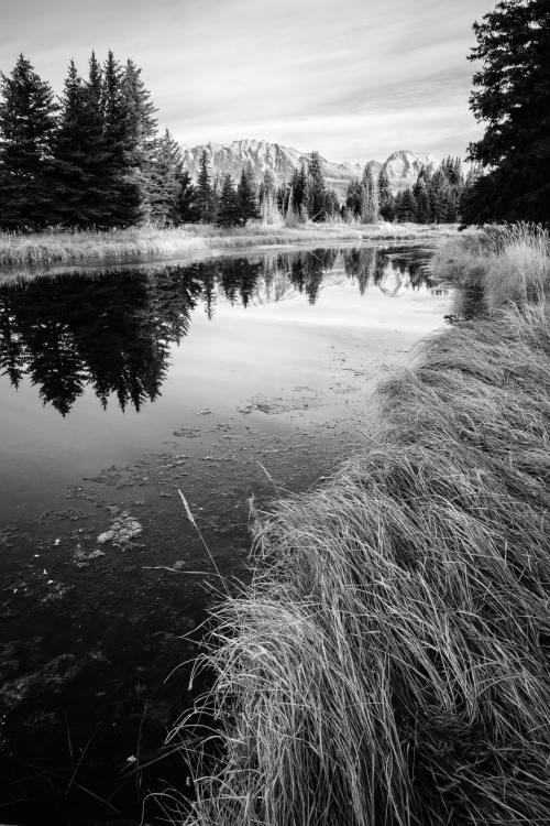 Schwabacher Landing, Grand Teton National Park. October, 2020.