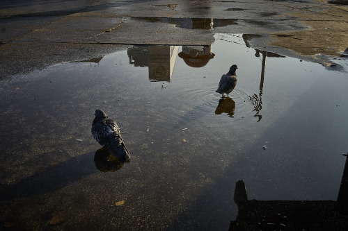 My wish is to be like Fish. Wroclaw, Poland 2016