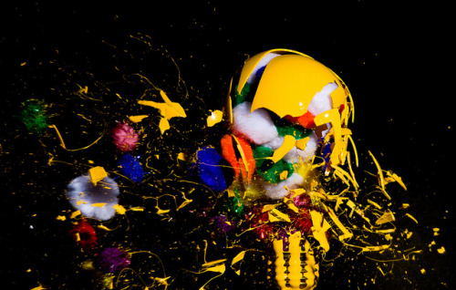 expose-the-light:High Speed Photographs of Exploding Lightbulbs Filled with Objects