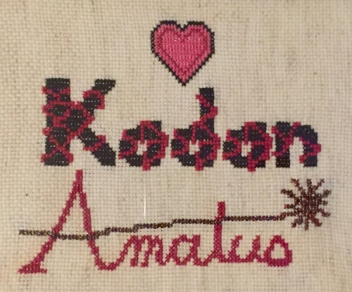 I made a Dragon Age cross-stitch. :-DIt’s not fully visible, but the line and starburst in “Amatus” 