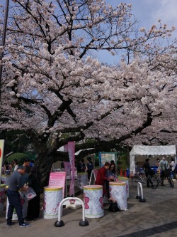 Kvnai:  Ueno. Tokyo, Japan. ❀ Tokyo2018 / Ig: @Mi.on❀   