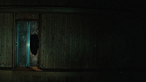 shotsofhorror:Let Me In, 2010, dir. Matt Reeves.(For the original, Let the Right One In, captures we