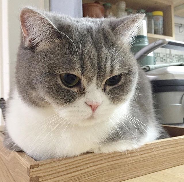 milkeu:  https://instagram.com/p/BEOQAXLDwOE/ 