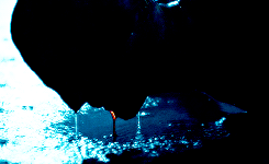 quinnsharleys-deactivated201508:  I’m not seeking penance for what I’ve done,