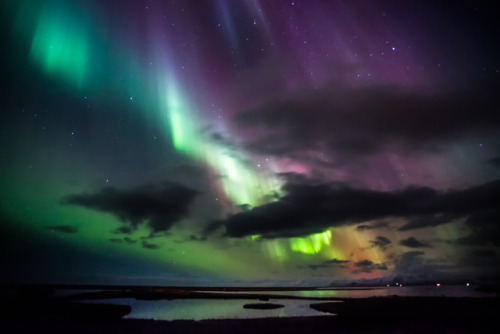 expressions-of-nature:Northern Lights, Iceland by greenzowie