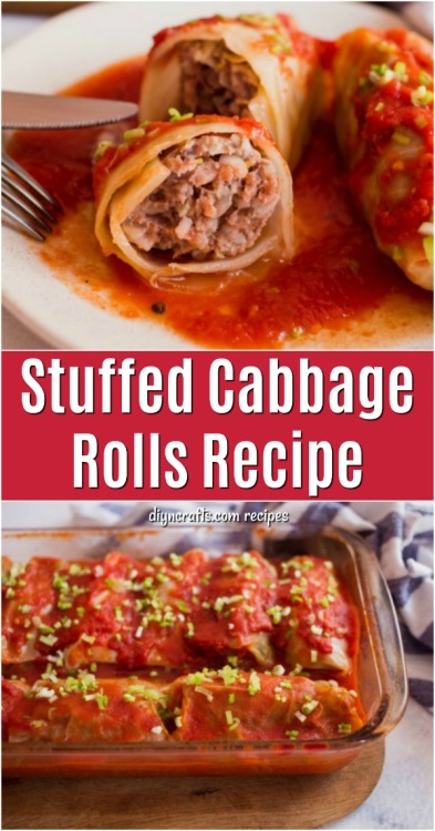  Wholesome And Tasty Stuffed Cabbage Rolls RecipeRecipe: https://www.diyncrafts.com/52129/food/recip