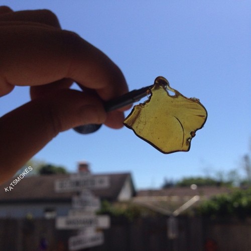 kat-smokes:  Happy 4:20!  Wish I was home to dab on this gram of Mazzar by @goldenratioextracts #goldenratioextracts but I’m not, so take a dab or smoke for me 😁
