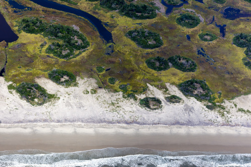 ScrublandsParramore Island, VA 2011© Alex S. MacLean / Landslides Aerial Photography / a