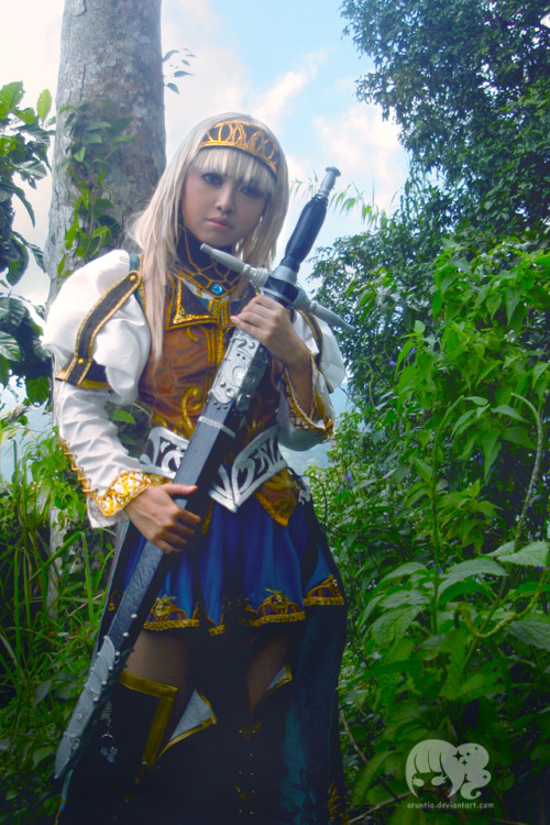 Alicia of Dipan ~ Valkyrie Profile 2 SilmeriaOne of my fave costume <3. All of embroideries are d