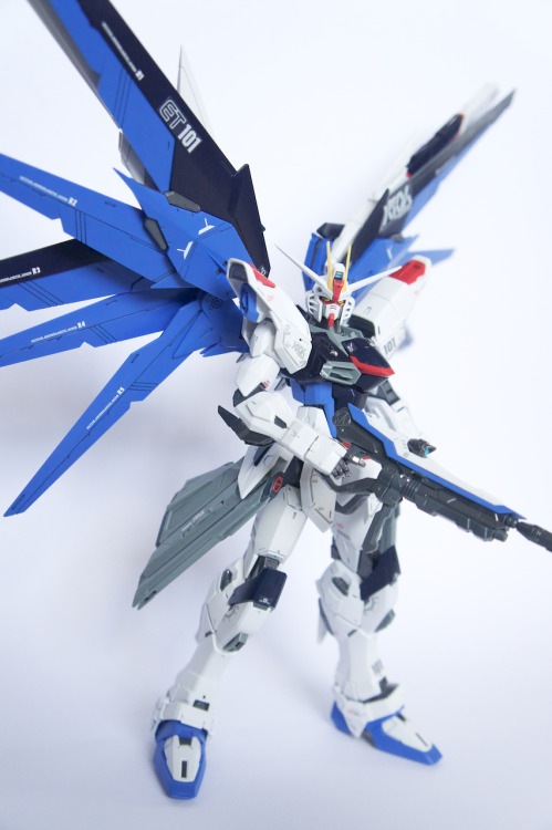 Master Grade Freedom Gundam 2.0 assembled, painted and photography by Scandalousgaijin