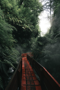 lvndscpe: Termas Geométricas, Panguipulli, Chile | by Peter Winckler