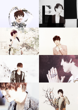 exolutely:  Suho, for flawfreesuho 