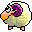 cute sheep