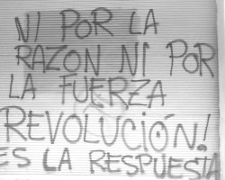 amante-de-la-tristeza:  Podrán matar al revolucionario, pero no la revolución ! 