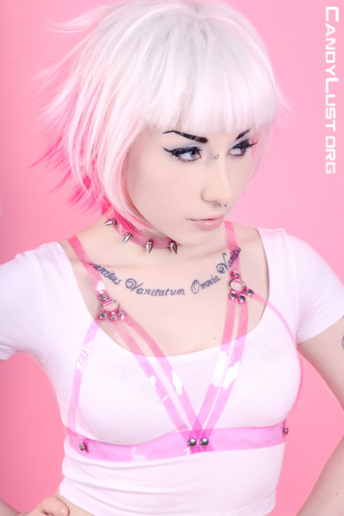 porphyriasuicide:  Lovely clear pvc belt/harness/choker set! It Is Known creations and styling Candylust photography.  <3<3