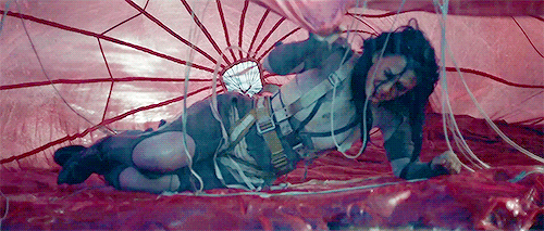 I must stay consciousThrough the madness and chaos…I won’t just survive,Oh, you will se