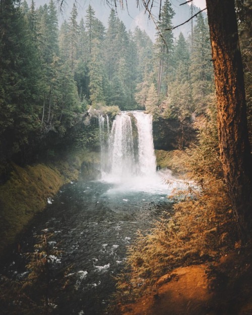 rustic-bones:One of my favorite waterfalls(at Central Oregon)