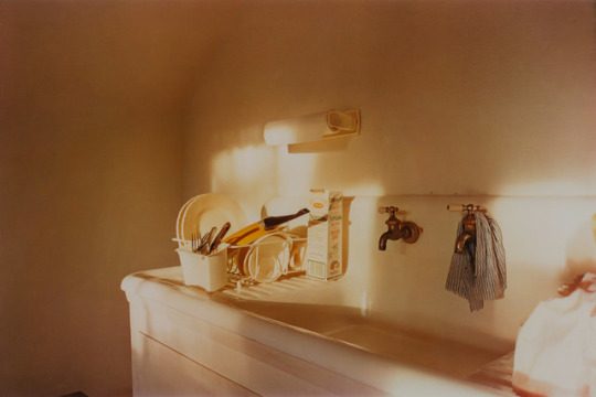 similarfruit:william eggleston