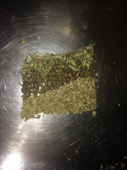 Unknown Sativa+Unknown Indica+Hashplant Haze  This should do the work.