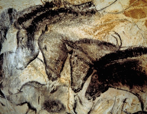 magictransistor:The Chauvet-Pont-d’Arc Cave, discovered near the Gorges de l’Ardèche (Southern Franc