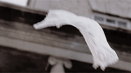 daniels-gillies:arianna’s favourite movies ≡ pride and prejudice, dir. joe wright (2005)“miss elizab