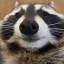 trashpanda499