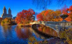 Central Park foliage is peaking!  				Inga&rsquo;s Angle 				One shutterbug&rsquo;s take on the Big Apple 