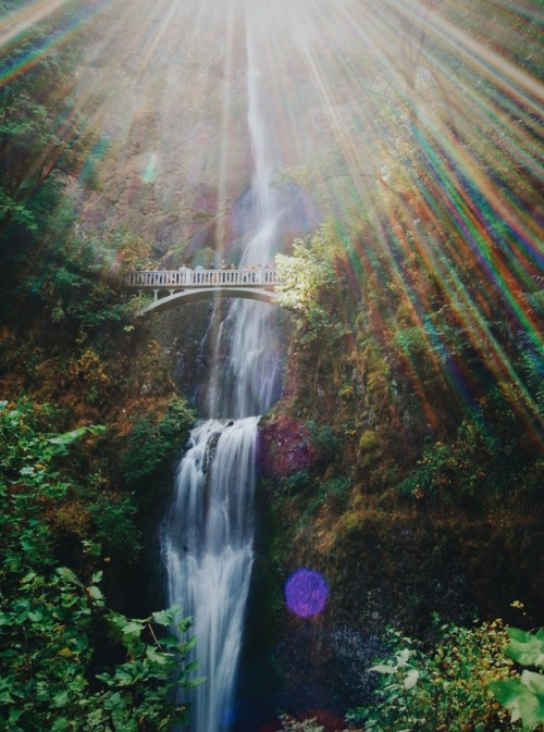 wildlxng: good ol’ columbia river gorge