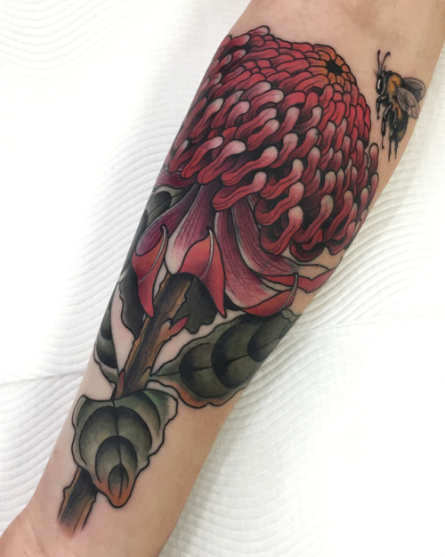 electrictattoos - adrianhing - Waratah cover up for Kristi. Thanks...