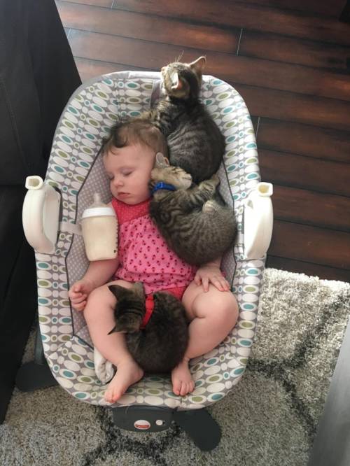 if i fits i sits (via)